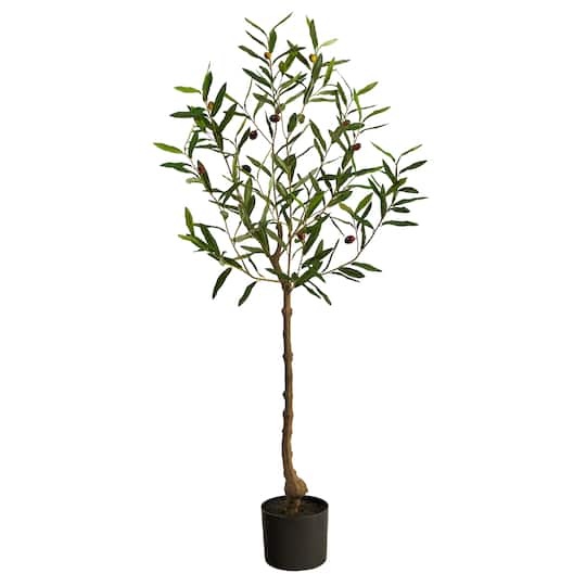 4ft. Potted Olive Tree